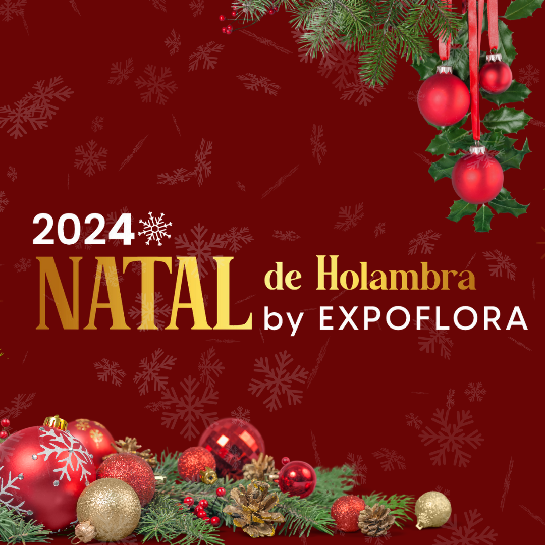 NATAL EM HOLAMBRA